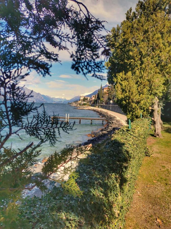 Camping Baldo Brenzone sul Garda Εξωτερικό φωτογραφία