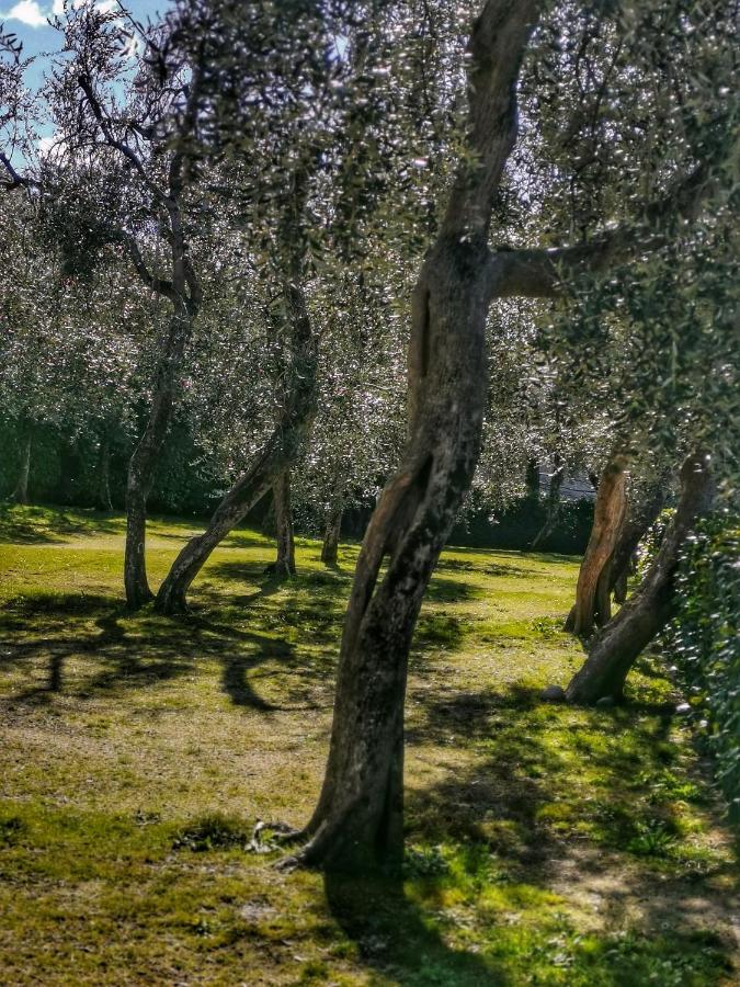 Camping Baldo Brenzone sul Garda Εξωτερικό φωτογραφία